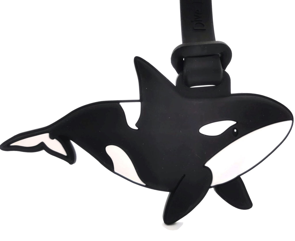 BT-032-Orca-1_1024x1024.jpg?v=