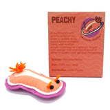 Peachy Nudibranch Magnet